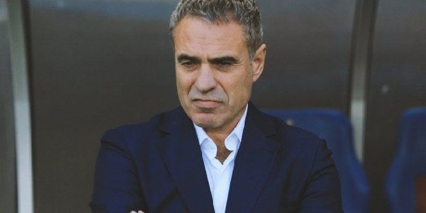 Eskişehirspor’da 2 sezon görev yapmıştır. 2011-2012 sezonunda Süper Lig’i 5. Bitirip UEFA Avrupa Ligi’ne gitmeye hak kazanmıştır. 2012-2013 sezonunu ise sekizinci bitirmistir.

Fenerbahçe’nin Aykut Kocaman‘dan boşalan Teknik Direktörlük görevine 28 Haziran 2013 tarihinde 1 yıllık sözleşme ile Fenerbahçe futbol takımı teknik direktörlüğüne getirilmiştir. Ersun Yanal bol prese dayalı, öncelikle hücumu düşünen, gol yememekten çok gol atmayı amaçlayan felsefesiyle özellikle iç saha maçlarında Fenerbahçe taraftarına zevkli maçlar izletecektir.