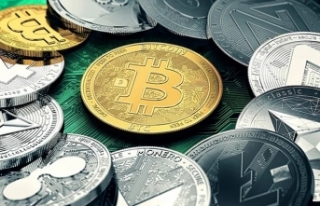 'Digital asset' feature has been added to...
